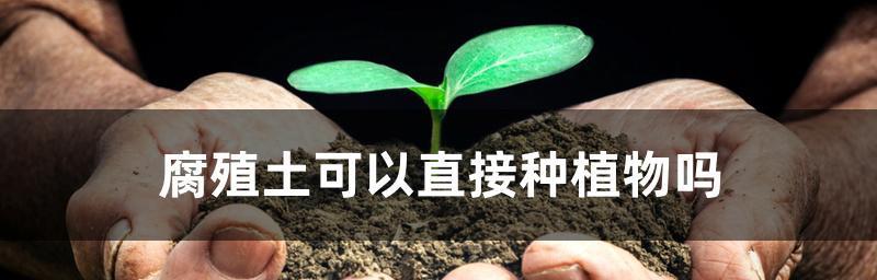 腐殖土适合种什么植物？——了解腐殖土的基本性质和作用