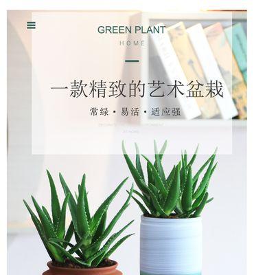 芦荟多肉植物花语-健康与幸福的象征（探寻芦荟多肉植物的美妙花语）