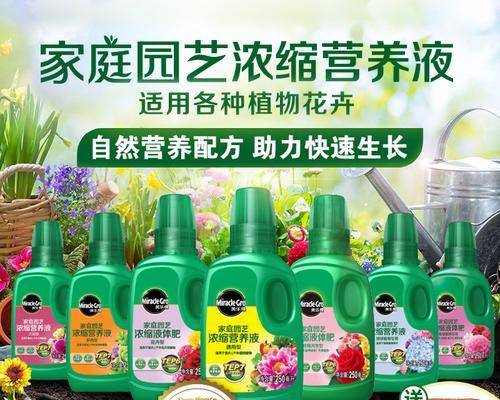 如何正确选择和使用富贵树的肥料（为您详细介绍富贵树的肥料类型及使用方法）