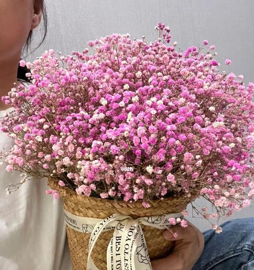 满天星的花语与传说（满天星之光照亮我们的心灵）