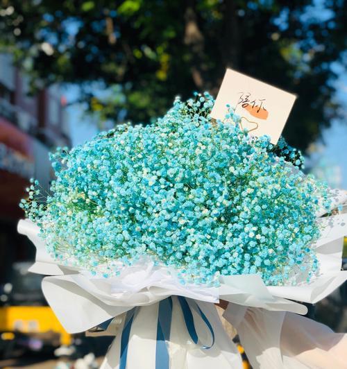 满天星花语南色（用满天星花语南色点亮生活的美好）