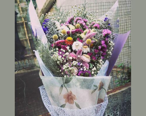满天星勿忘我花语（永恒的美丽与思念之花）