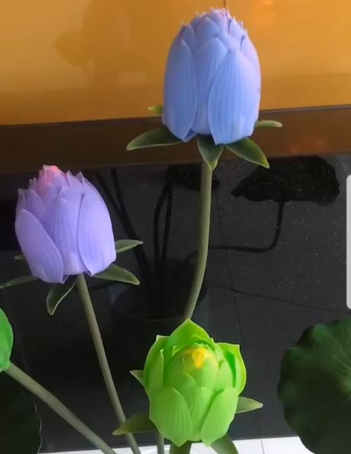 花中的象征——牡丹与荷花的寓意（传承千年的美与吉祥）