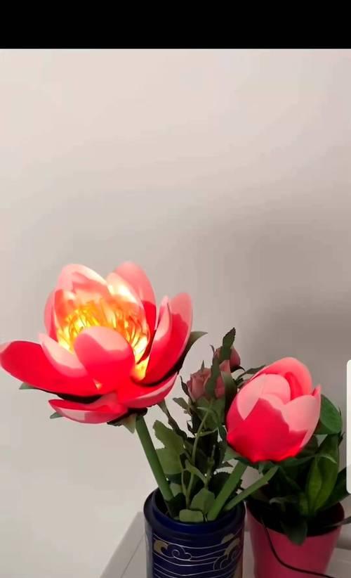 花中的象征——牡丹与荷花的寓意（传承千年的美与吉祥）