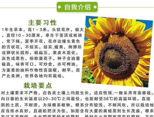 富贵籽的种植与养护（打造丰收田园）