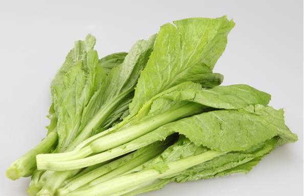 揭秘菜叶之谜（菜叶究竟是什么）