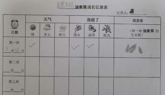 如何种植甘蓝（从选种到收割）