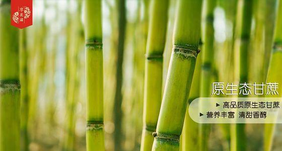 甘蔗的生长周期是多长时间（探究甘蔗的成长历程）
