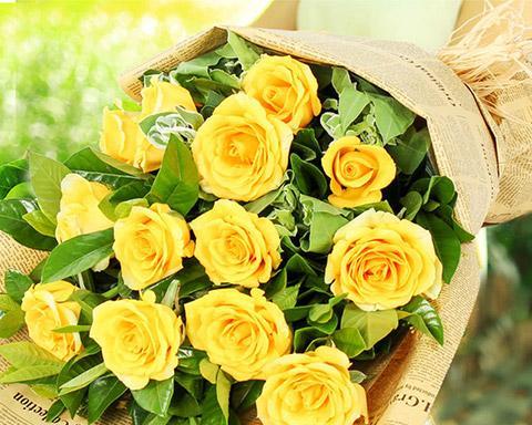 11朵黄玫瑰的花语意义（诠释黄玫瑰寓意的绽放之旅）