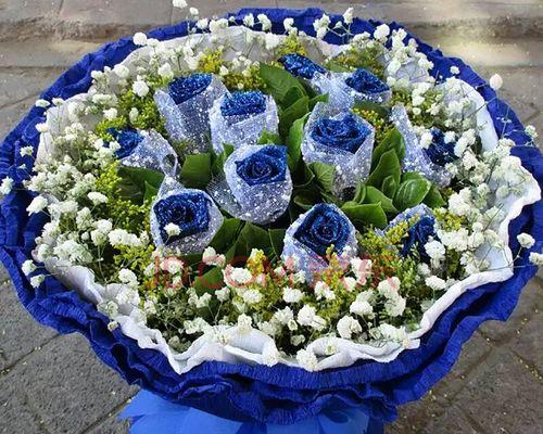 11朵蓝色妖姬的象征意义（探究蓝色妖姬的神秘力量）