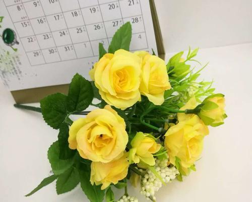12朵玫瑰花的含义（纯洁）