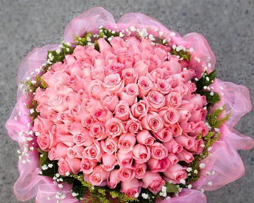 玫瑰花的象征意义——18朵玫瑰的深刻寓意（寓意丰富的18朵玫瑰花）