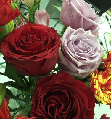 玫瑰花的象征意义——18朵玫瑰的深刻寓意（寓意丰富的18朵玫瑰花）