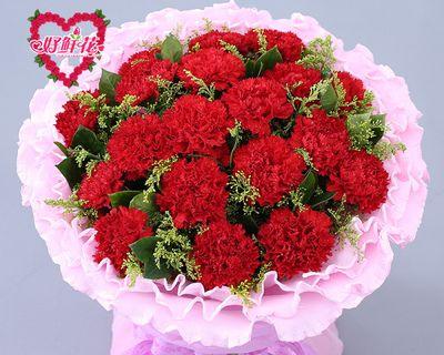 19朵康乃馨的寓意与象征（用花语传递情感）