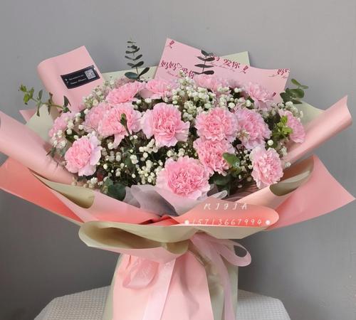 康乃馨之爱-探寻19朵康乃馨的花语（用花语讲述爱情的故事）