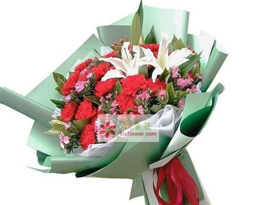 康乃馨之爱-探寻19朵康乃馨的花语（用花语讲述爱情的故事）