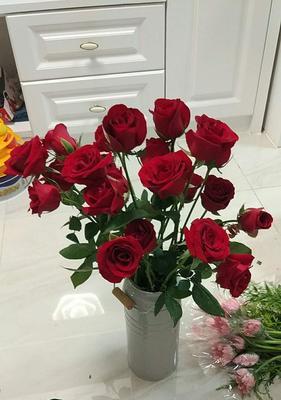 25朵玫瑰花语（浪漫花语中的深情表达）