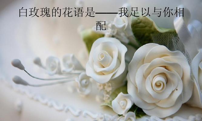 25朵玫瑰花语（浪漫花语中的深情表达）