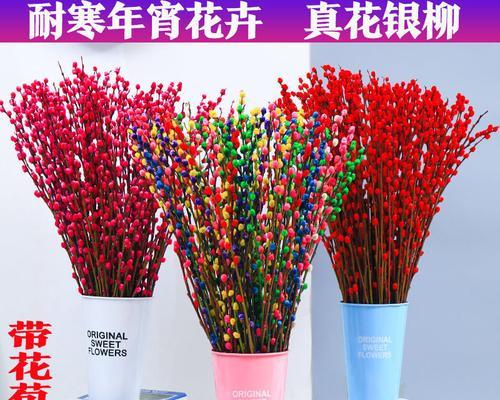 银柳的花语和寓意是什么？了解银柳背后的文化意义？