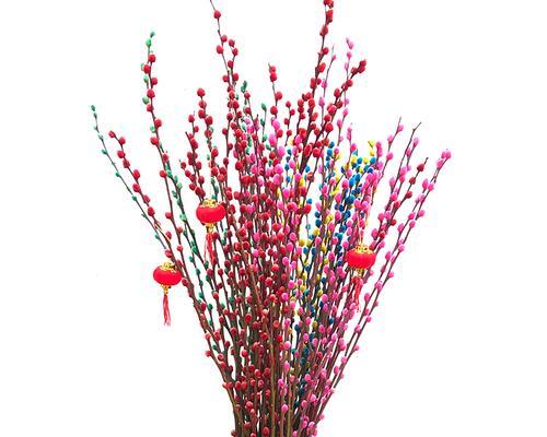 银柳花的寓意是什么？银柳花象征着什么含义？