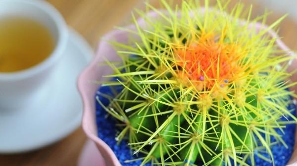 电脑前适合放什么植物？有哪些净化空气的办公桌植物推荐？