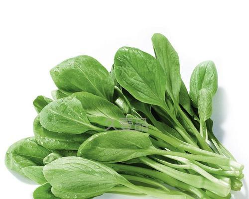 常见的含淀粉蔬菜品种有哪些？它们的营养价值如何？