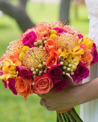 针垫花花语代表什么？如何正确养护针垫花？