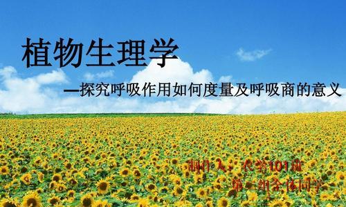 植物的呼吸作用有什么意义？为何对生态平衡至关重要？