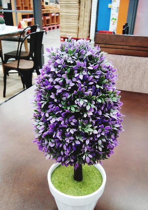 丁香花可以盆栽吗？盆栽丁香花的养护技巧是什么？