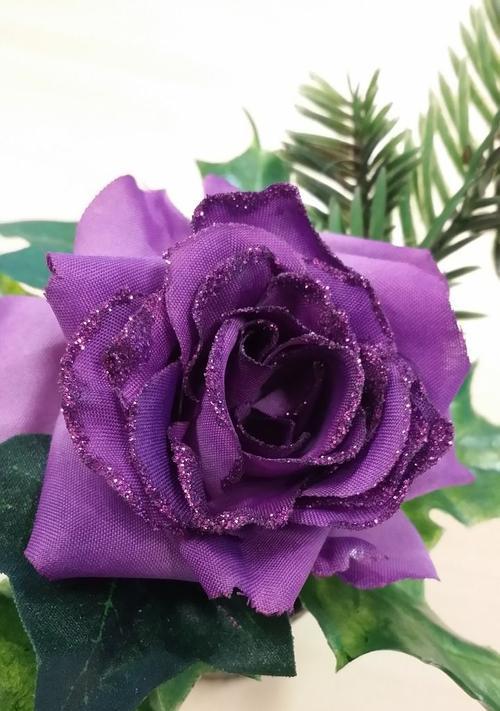 紫色玫瑰花代表什么？紫色玫瑰花的寓意是什么？