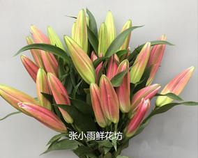 订婚时应该选择哪种花？订婚花卉的含义是什么？