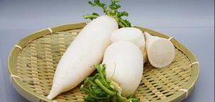 东北大萝卜最佳种植时间是什么时候？几月份种植最为适宜？
