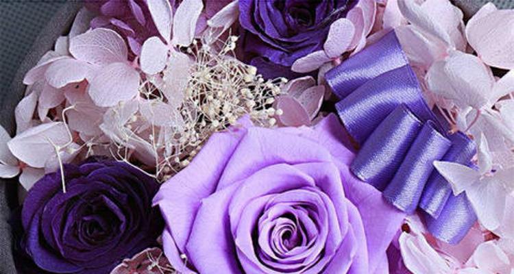 紫色玫瑰代表什么含义？花语有哪些特别之处？