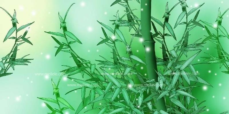 翠竹象征着什么？探讨其在中国文化中的深层含义？