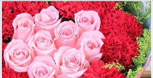 粉色康乃馨代表什么含义？花语背后的寓意是什么？