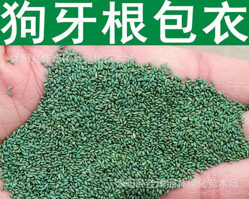 狗牙根包衣是什么意思？包衣技术在狗牙根中的应用有哪些？