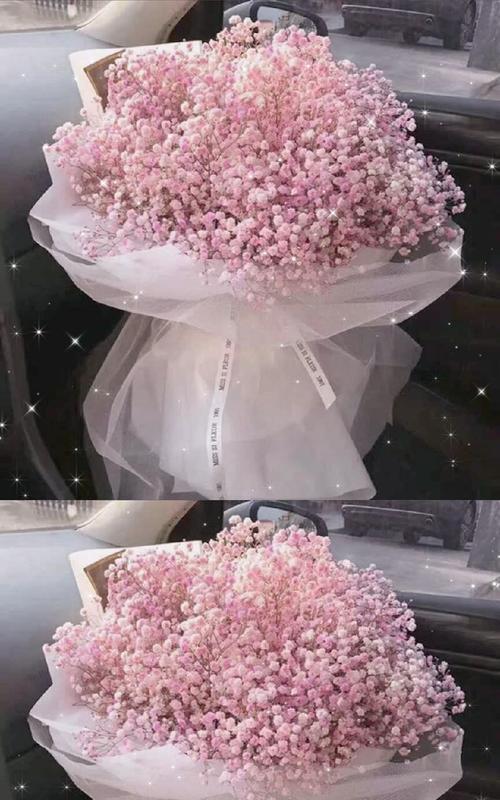 满天星花语寓意是什么意思？如何正确解读满天星的花语含义？