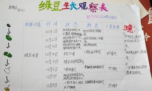 豆瓣绿扦插需要多长时间才能生根？