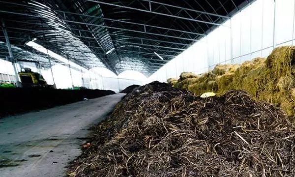 农家肥腐熟是什么意思？腐熟过程对作物有何影响？