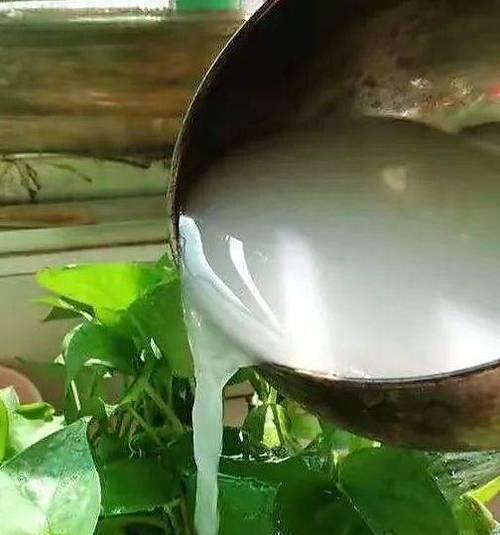 豆腐渣能用作肥料吗？如何正确使用？