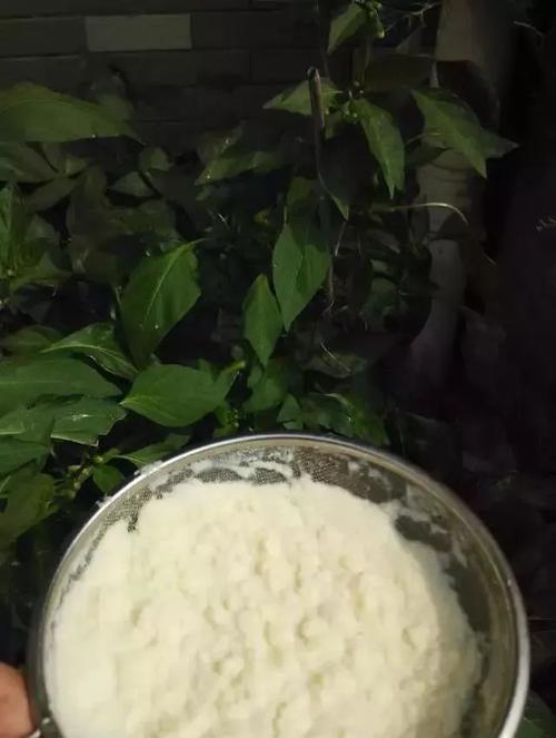 豆腐渣怎么沤肥？沤肥过程中的常见问题有哪些？