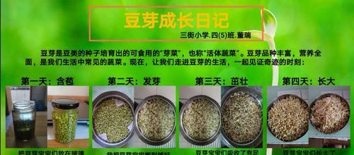 豆浆浇花的好处是什么？如何正确使用豆浆浇花？