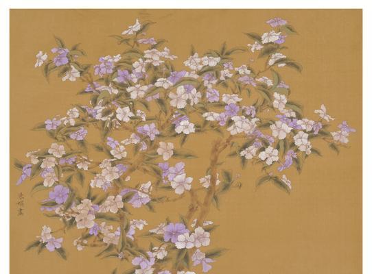 双生花的花语是什么？了解双生花的深层含义和象征意义？
