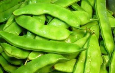 豆角不能与哪些食物搭配？一起食用的危害是什么？