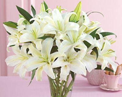 香水百合花语解读？送花时应注意哪些事项？