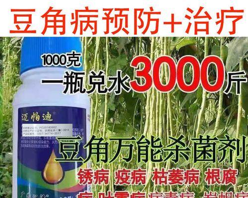 豆角炭疽病是怎么引起的？有效治疗方法有哪些？