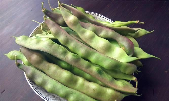 豆角怎么看熟没熟？如何判断豆角是否烹饪得当？