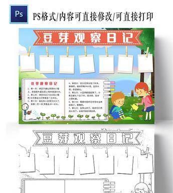 豆芽生长习性有哪些？如何创造最佳生长环境条件？