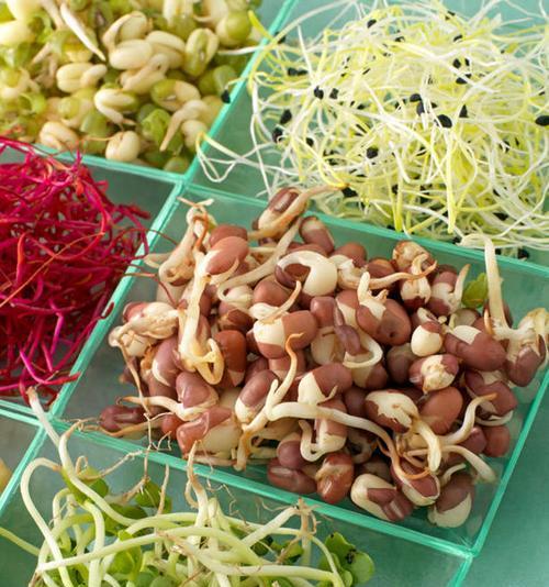 豆芽冷冻保存的正确方法是什么？冷冻后会影响口感吗？