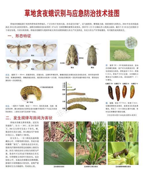 杜鹃病虫害怎么防治？有效防治技术措施有哪些？